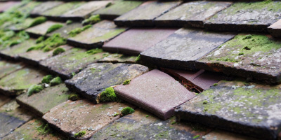 Cilsan roof repair costs
